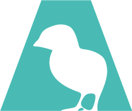 Anima International