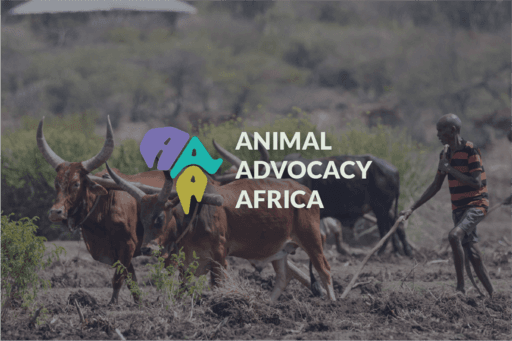 Animal Advocacy Africa
