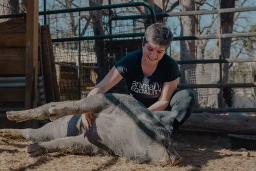 Animal Equality