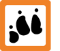 Animal Rights Watch e.V. (ARIWA)