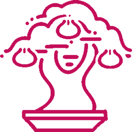 Bonsai Plant Kitchen