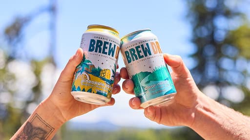 Brew Dr. Kombucha