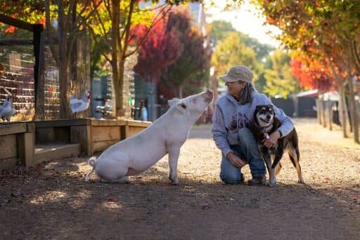 Edgar's Mission Farm Sanctuary