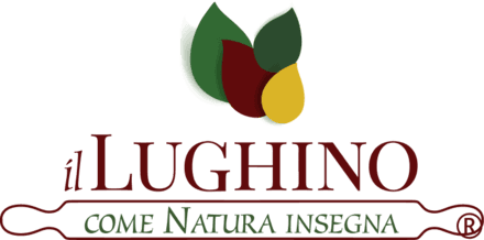 il Lughino