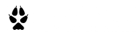 Loomus