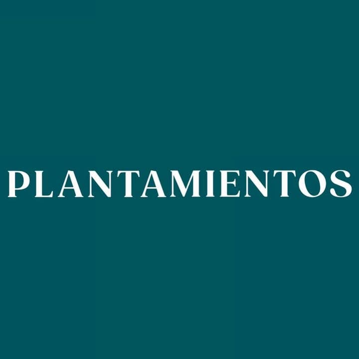 Plantamientos