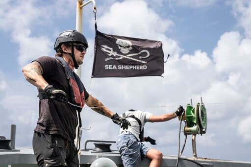 Sea Shepherd Conservation Society