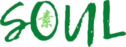 Soul Vegan
