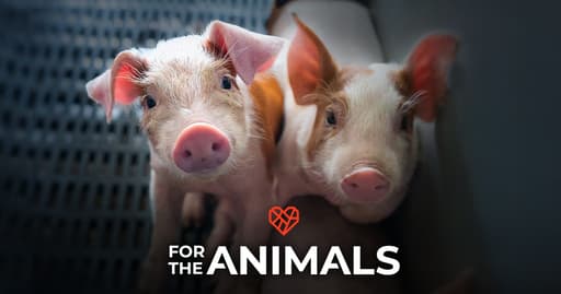 The Humane League