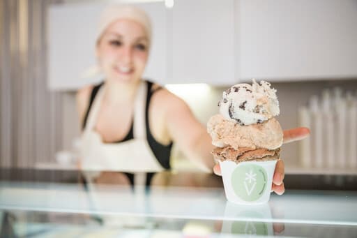 Veganista Ice Cream