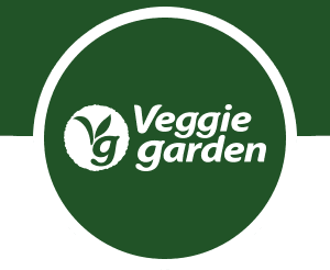 Veggie Garden
