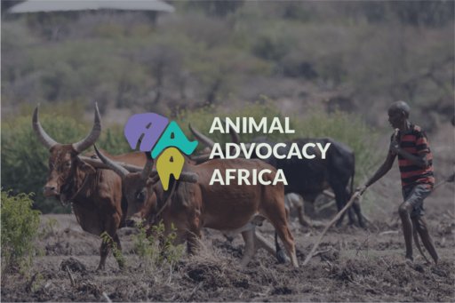 Animal Advocacy Africa