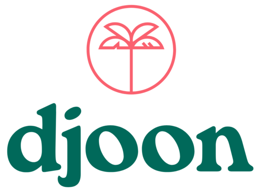 djoon Dattelpralinen