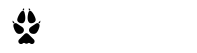 Loomus