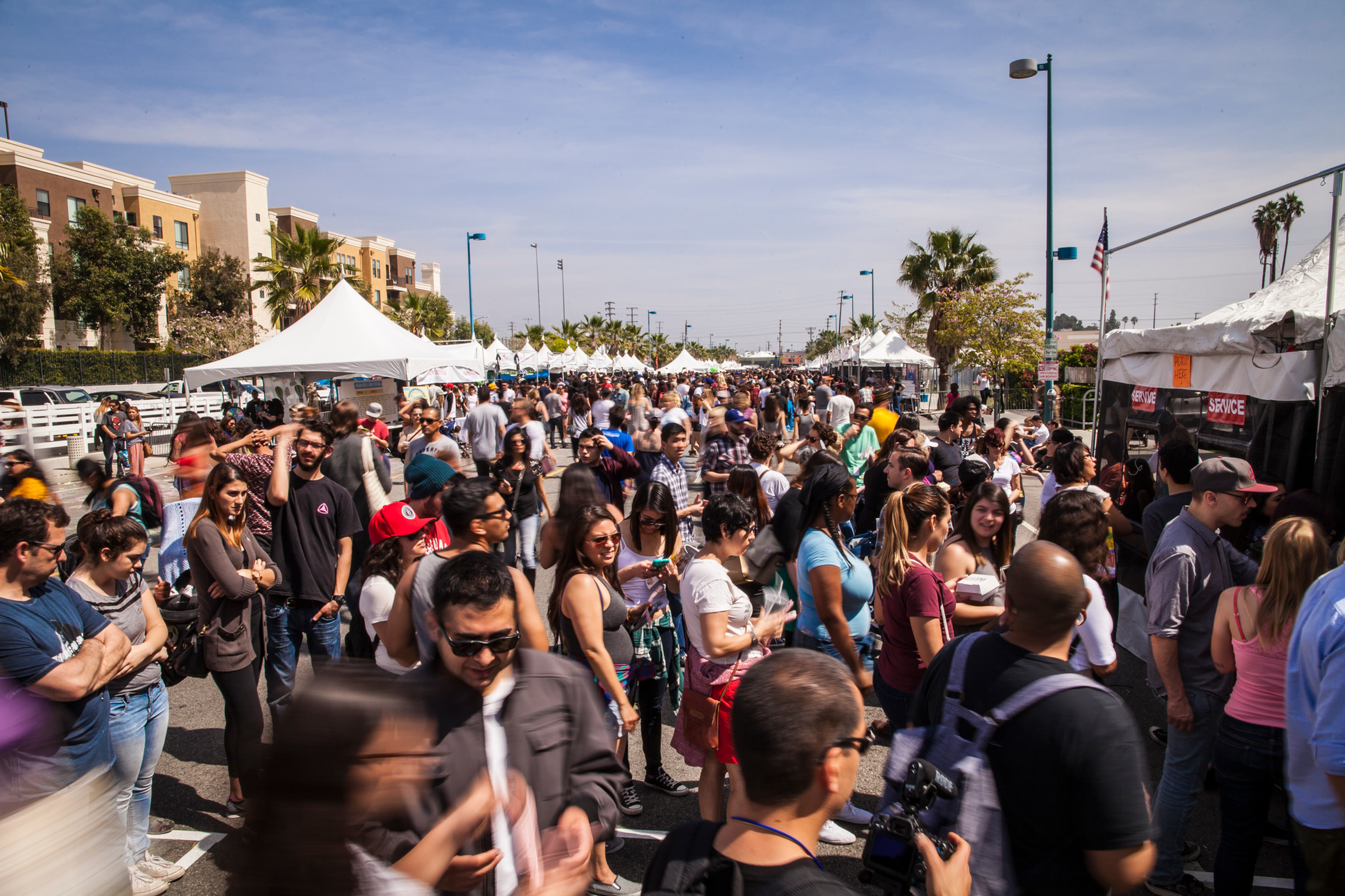 Vegan Street Fair