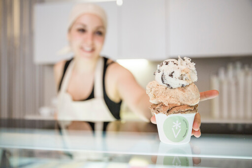 Veganista Ice Cream
